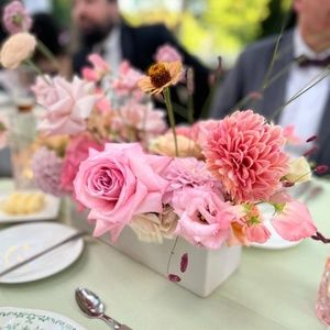 Meet your Posher, Annegret